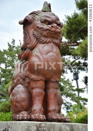 在新潟市散步：Hakusan Shrine和Shiba Inu 43860613