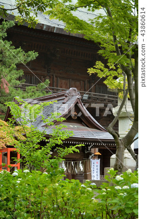 在新潟市散步：白山神社，Sushinmon 43860614