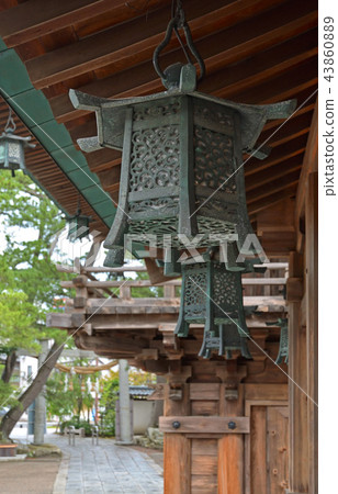 在新潟散步：白山神社和吊燈 43860889