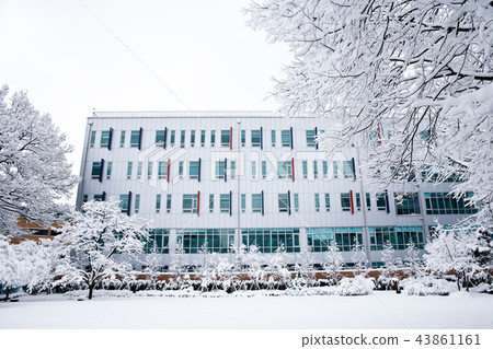 首爾首爾 43861161