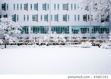 首爾首爾 43861163