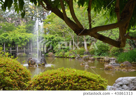 Niigata City Walk: Hakusan Park, Hyotan Pond 43861313