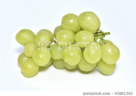 葡萄(羅薩里奧比安科) 葡萄(羅薩里奧比安科) 43861383