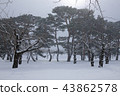 Goryokaku Park in Hakodate City, Hokkaido 43862578