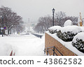Hokkaido Hakodate City Motomachi Park Mae Korisaka Dori 43862582