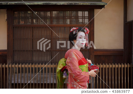 穿著紅色和服的可愛的日本藝妓或Maiko的走的圖通過在傳統京都房子的窗口前面。 穿著紅色和服的可愛的日本藝妓或Maiko的走的圖通過在傳統京都房子的窗口前面。 43863977