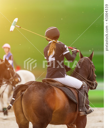 Polo woman player is riding on a horse. 43864339