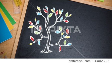 Tree leaves education drawings on blackboard for school Tree leaves education drawings on blackboard for school 43865298