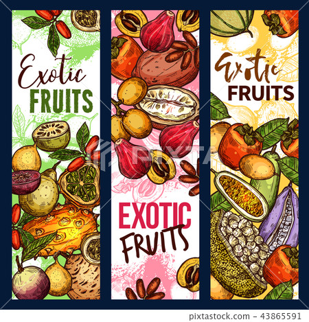 Exotic tropical fruits organic harvest sketch Exotic tropical fruits organic harvest sketch 43865591