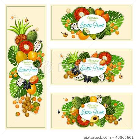 Exotic tropical fruits harvest banners 43865601