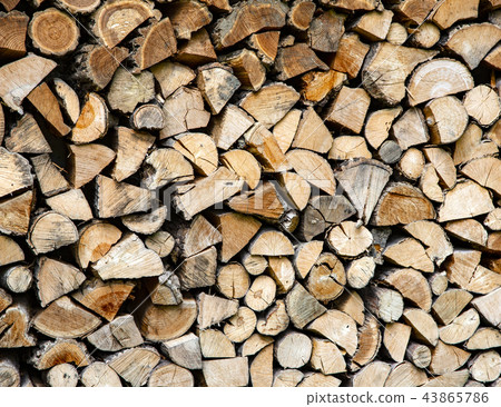 Stacks of firewood in the forest Stacks of firewood in the forest 43865786