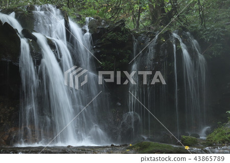 Monkey Bottle Falls Monkey Bottle Falls 43865789