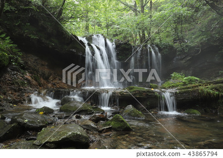 Monkey Bottle Falls Monkey Bottle Falls 43865794