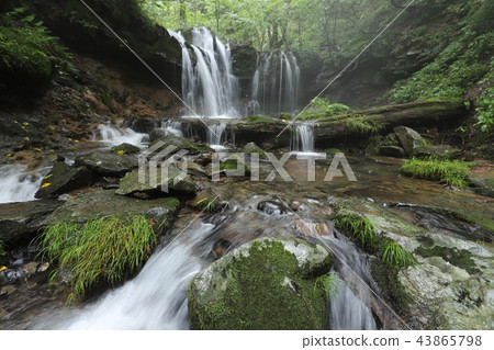 Monkey Bottle Falls Monkey Bottle Falls 43865798