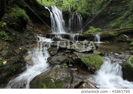 Monkey Bottle Falls Monkey Bottle Falls 43865799