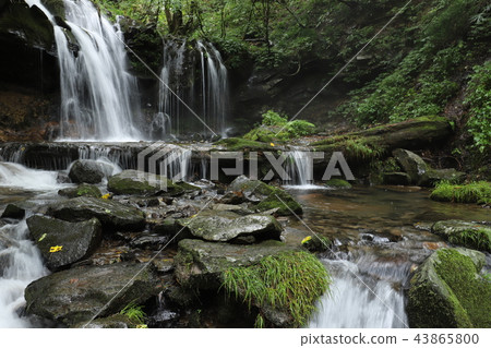 Monkey Bottle Falls Monkey Bottle Falls 43865800