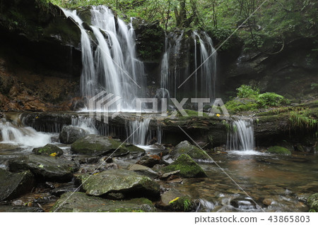 Monkey Bottle Falls Monkey Bottle Falls 43865803