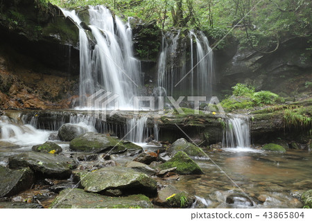Monkey Bottle Falls Monkey Bottle Falls 43865804