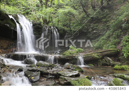 Monkey Bottle Falls Monkey Bottle Falls 43865843