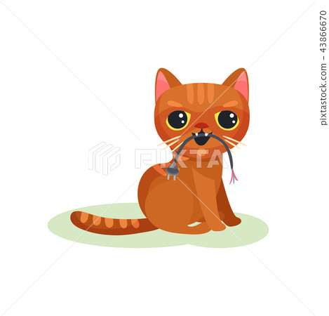 Naughty kitten gnawing wire with plug, mischievous cute little cat vector Illustration on a white Naughty kitten gnawing wire with plug, mischievous cute little cat vector Illustration on a white 43866670