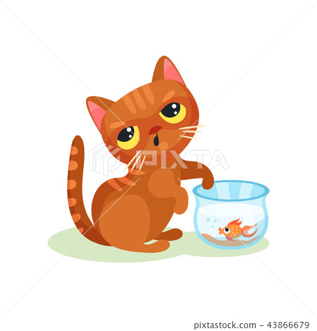 Naughty kitten trying to catch aquarium fish, mischievous cute little cat vector Illustration on a 43866679