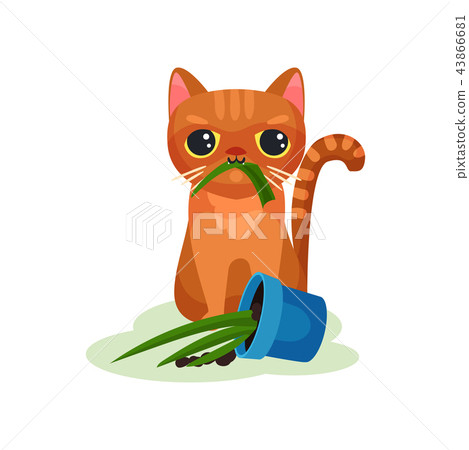 Naughty kitten eating house plant, mischievous cute little cat vector Illustration on a white Naughty kitten eating house plant, mischievous cute little cat vector Illustration on a white 43866681