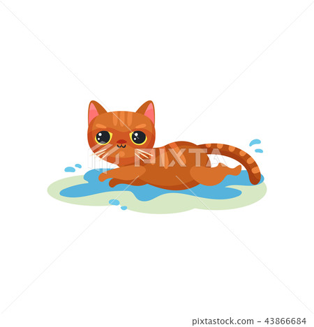 Naughty kitten lying in a puddle on the floor, mischievous cute little cat vector Illustration on a Naughty kitten lying in a puddle on the floor, mischievous cute little cat vector Illustration on a 43866684