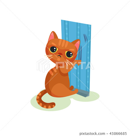Naughty kitten scratching wallpaper, mischievous cute little cat vector Illustration on a white Naughty kitten scratching wallpaper, mischievous cute little cat vector Illustration on a white 43866685
