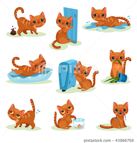 Naughty kitten in different situations, mischievous cute little cat vector Illustrations on a white Naughty kitten in different situations, mischievous cute little cat vector Illustrations on a white 43866708