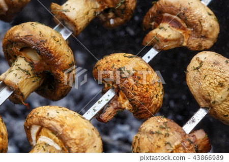 Barbecue skewers grilled champignon mushrooms 43866989