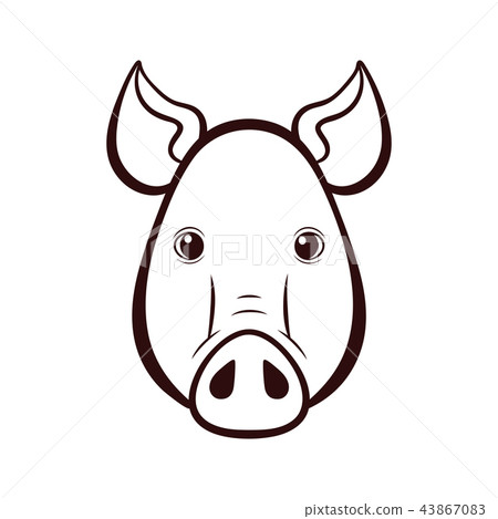 The pigs head. 43867083