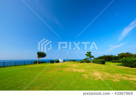 Hill and salmon of the sea breeze Hill and salmon of the sea breeze 43867869