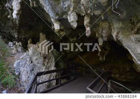 Mammoth Cave / Margaret River Mammoth Cave Caves Australia 43868184