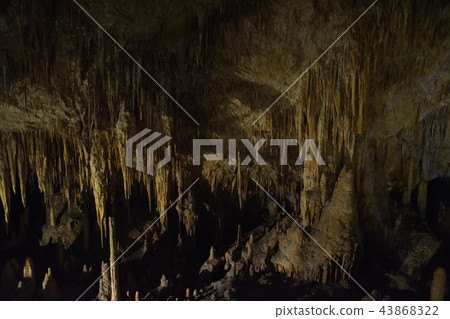 猛獁洞/瑪格麗特河猛獁洞穴澳大利亞 43868322