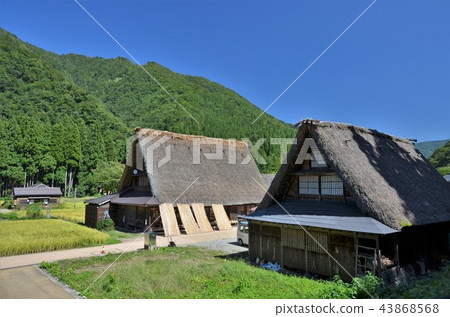 Gokayama reached its early autumn 43868568