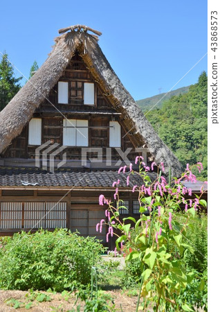 Gokayama reached its early autumn 43868573