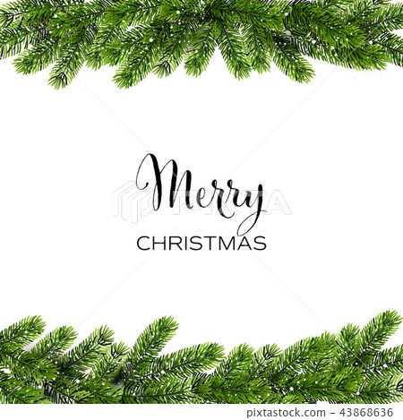 Christmas background with green Pine Branches. Vector 43868636