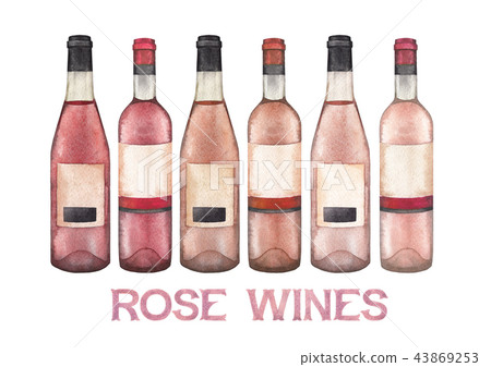 Watercolor collection of different rose wine bottles. 43869253