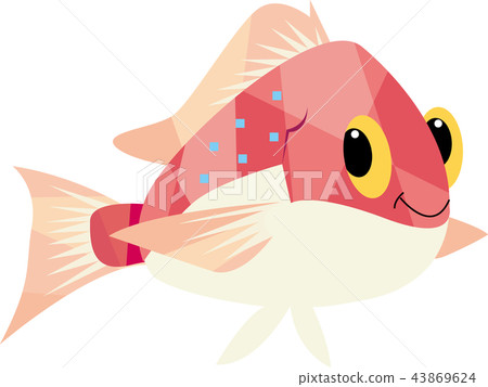Cute Snapper Cute Snapper 43869624