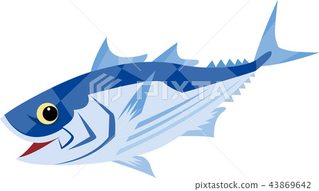 可愛的鰹魚 43869642