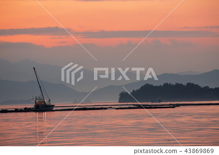 Setouchi morning oyster fishing in the morning Setouchi morning oyster fishing in the morning 43869869