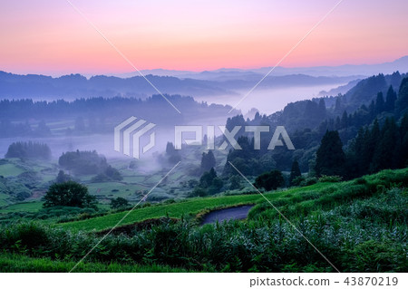 梯田(早晨) 梯田(早晨) 43870219