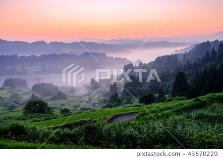 梯田(早晨) 梯田(早晨) 43870220