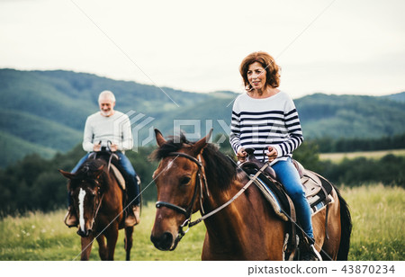 A senior couple riding horses in nature. A senior couple riding horses in nature. 43870234