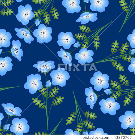 Nemophila Baby Blue Eyes Flower Indigo Background 43870763