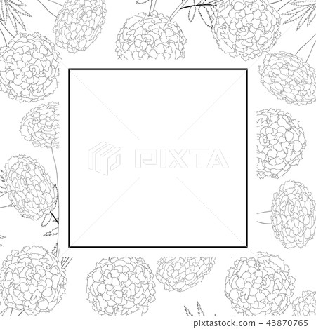 Marigold on White Banner Card Outline 43870765