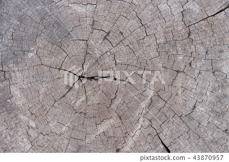 Old wood texture 43870957