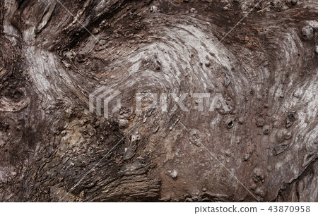 Old wood texture 43870958