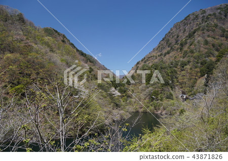 甲府市沒有Saruya山谷 43871826