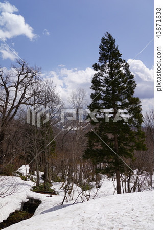 從Togushi Shrine Okumiya的Iinoba山 從Togushi Shrine Okumiya的Iinoba山 43871838